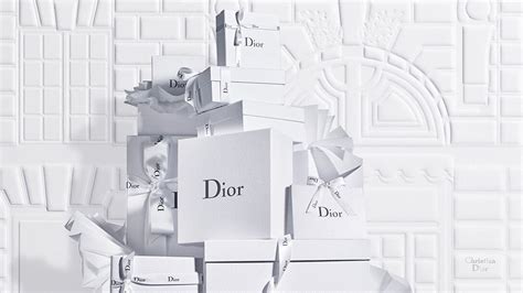 dior corporation|dior official website.